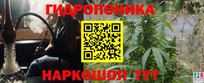 шишки Комсомольск-на-Амуре