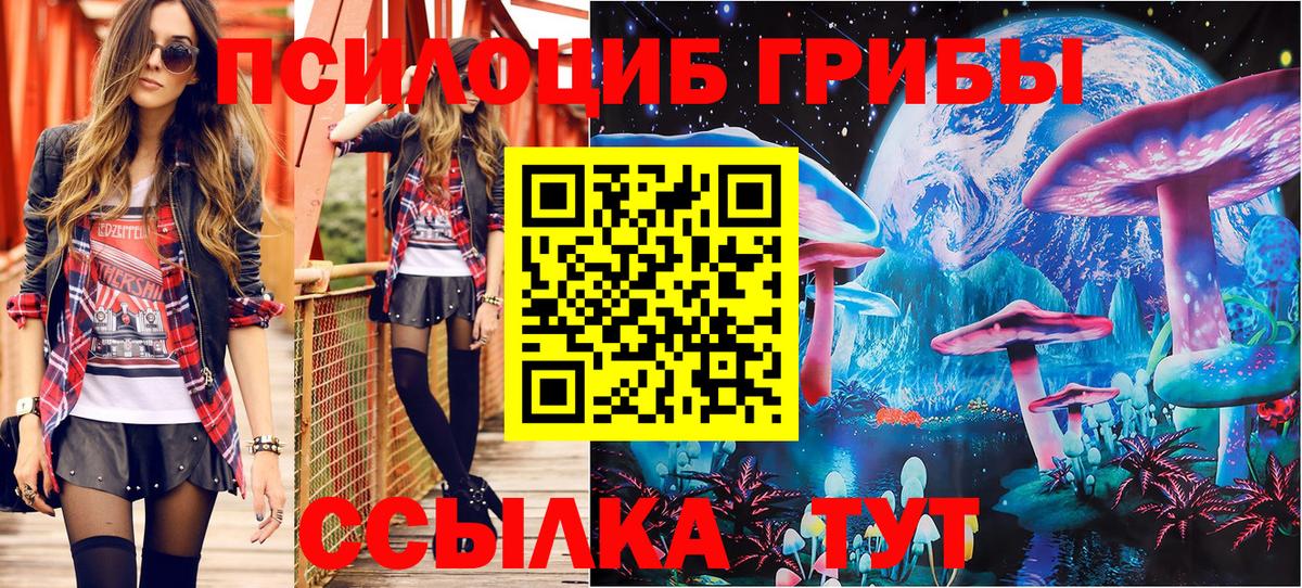 Заволжье  Галлюциногенные грибы Cubensis  дарнет шоп  Вход с VPN 